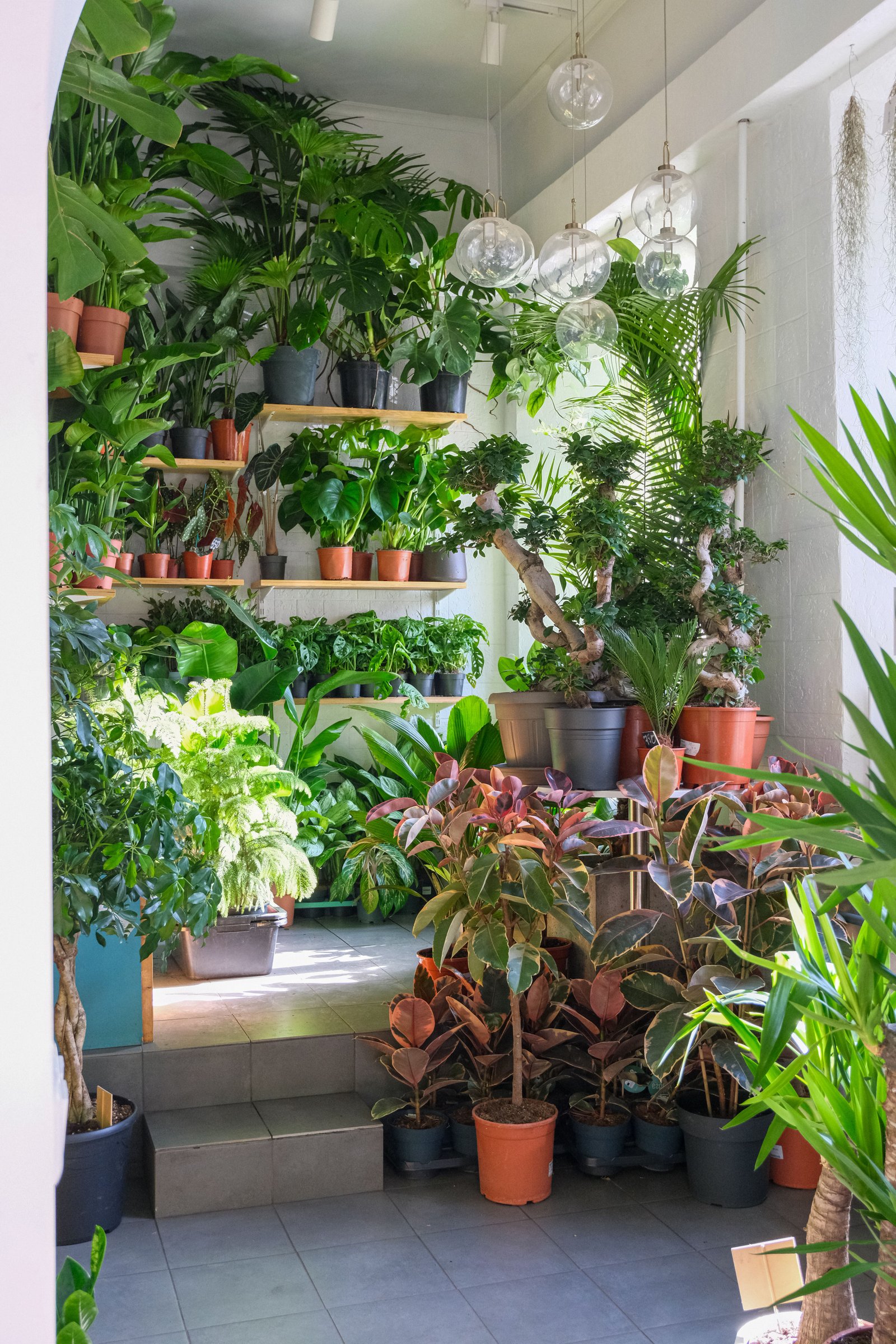 Cómo crear un borde floral en el jardín