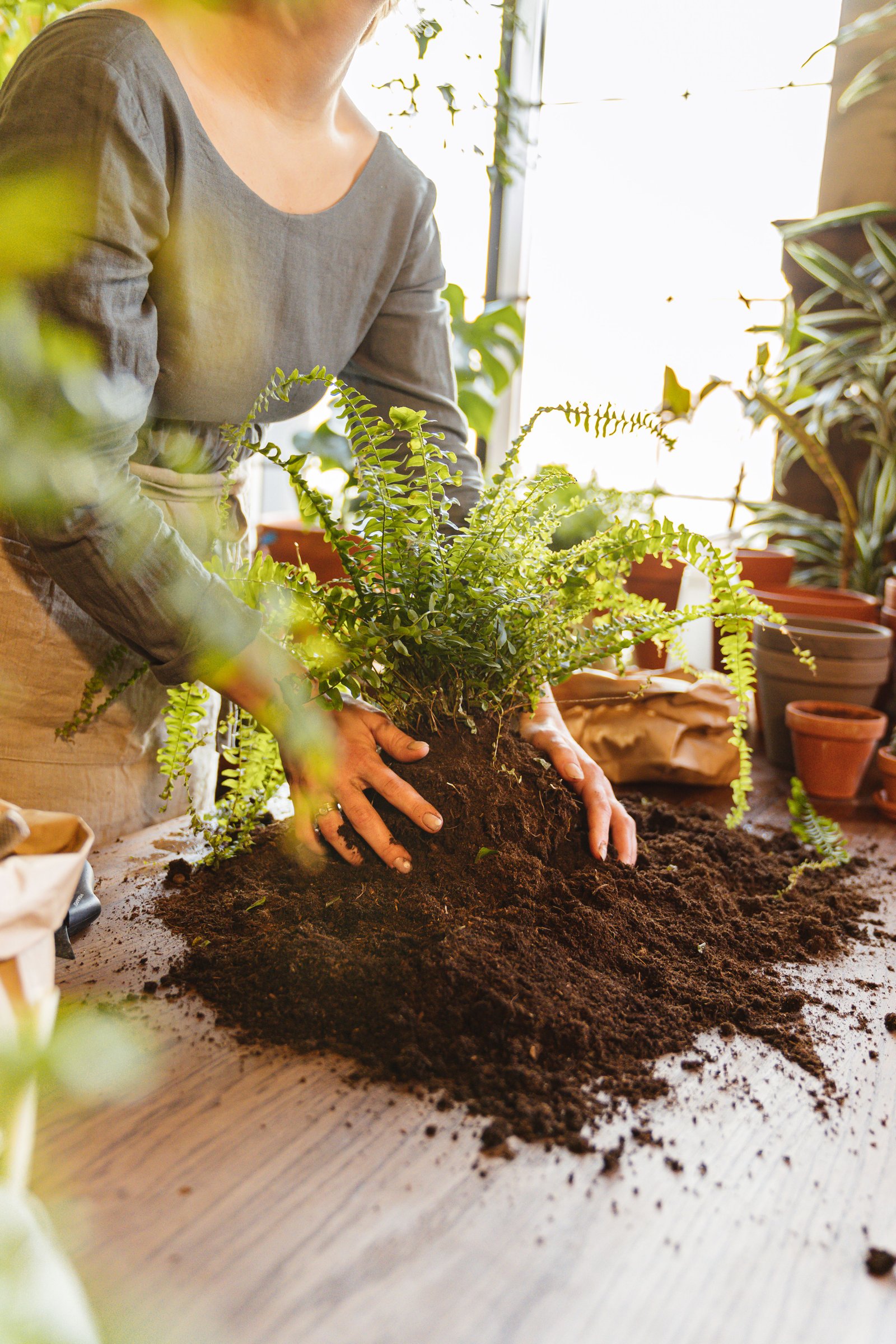 Cómo crear un camino de piedra en el jardín paso a paso