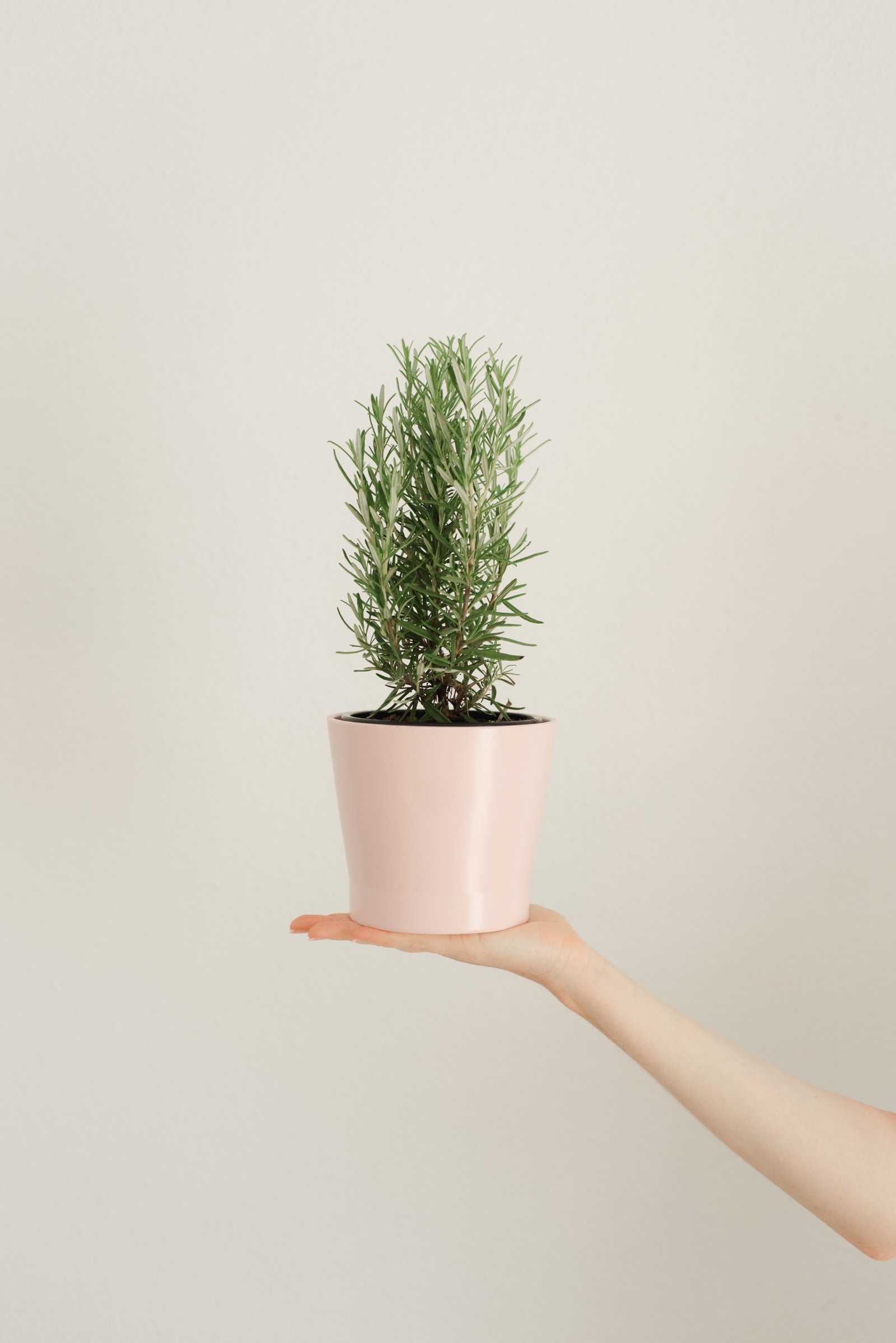 Cómo crear un hogar elegante sin gastar una fortuna