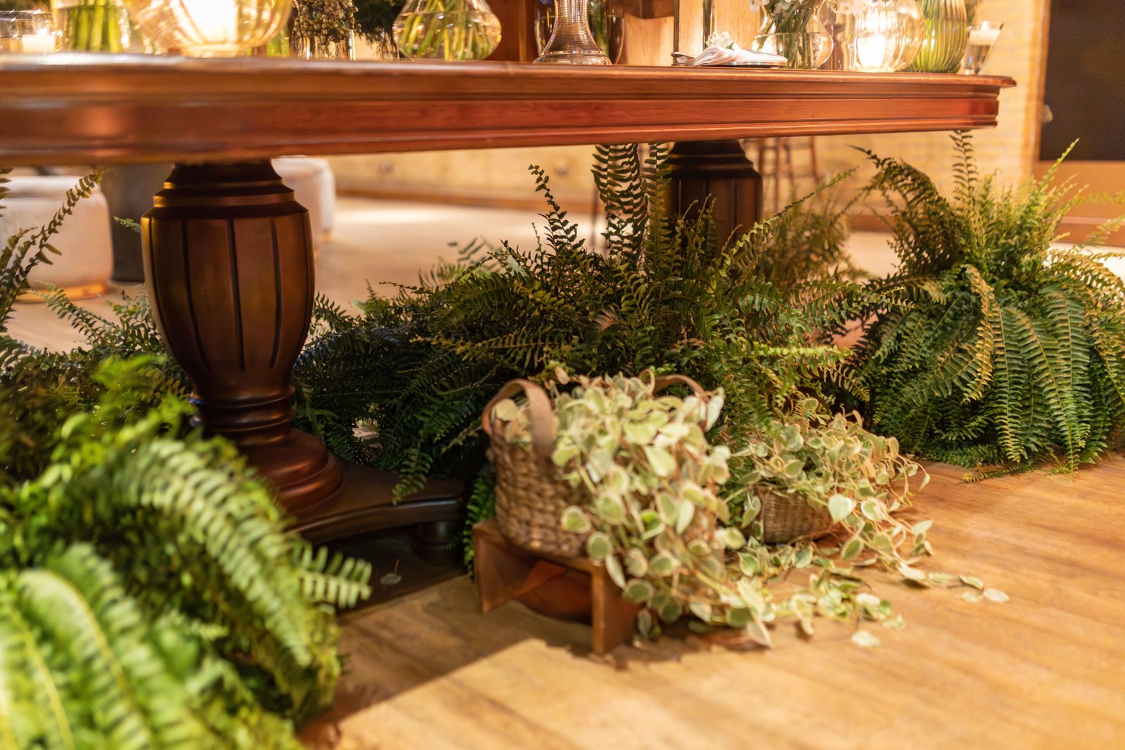 Cómo cuidar las plantas durante el invierno