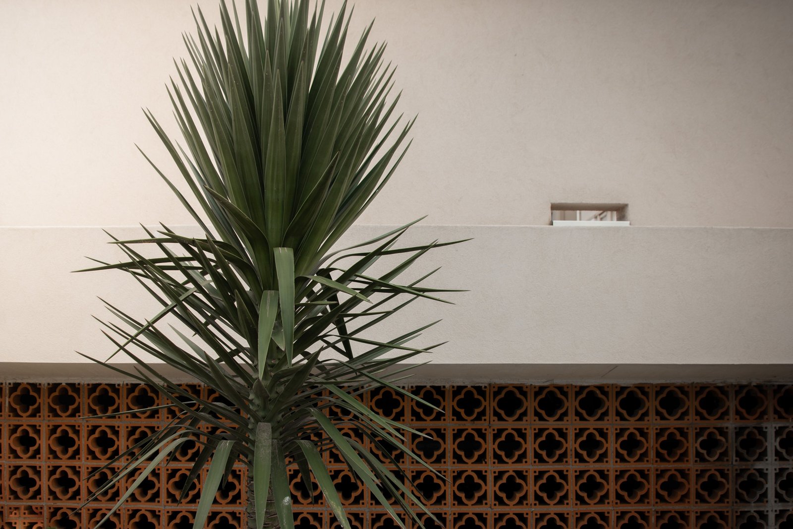 Cómo diseñar un jardín con diferentes alturas