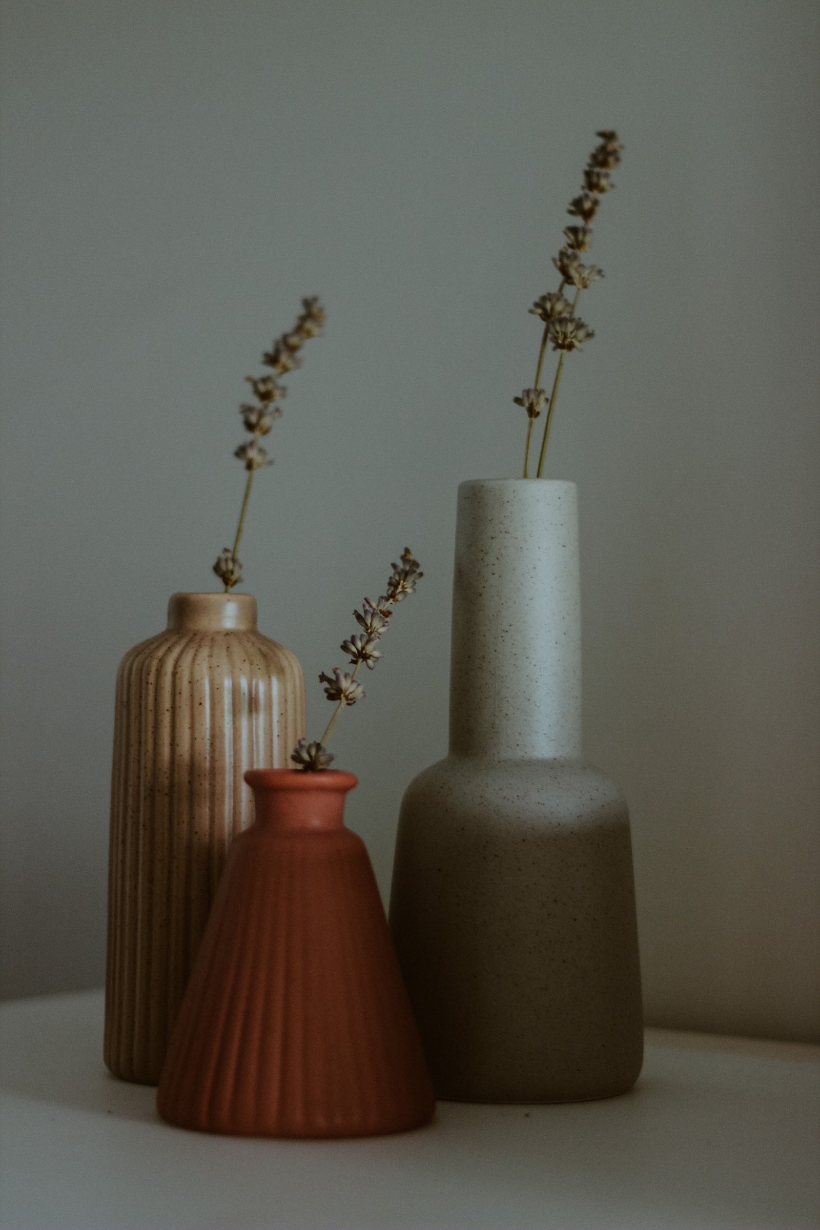 Cómo elegir plantas adecuadas para terrazas