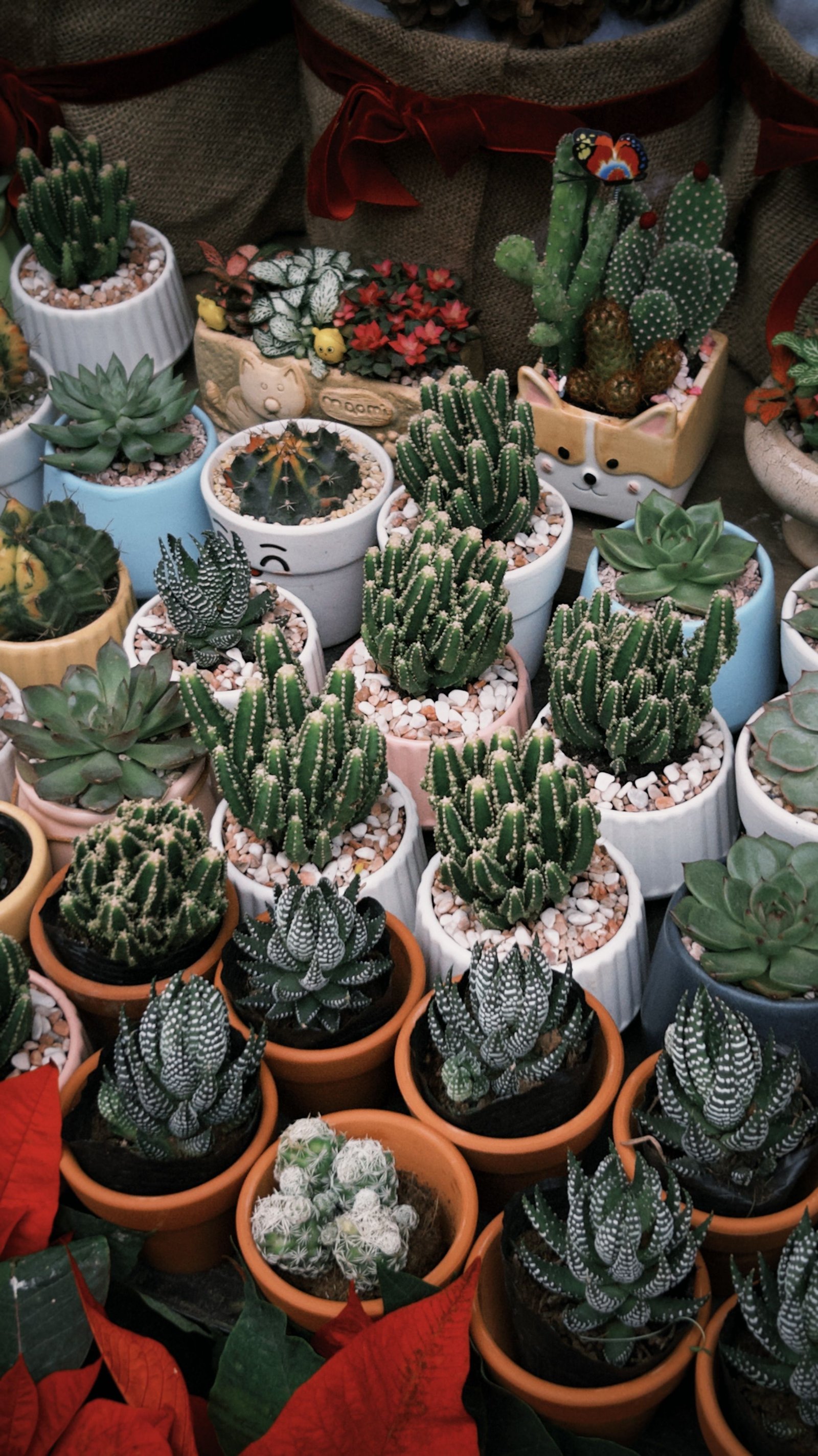 Cómo mantener el jardín bonito cuando tienes poco tiempo