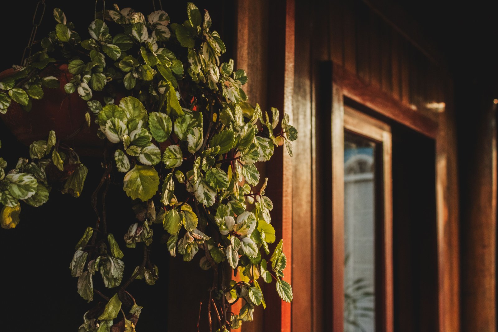 Cómo planificar un jardín para todas las estaciones