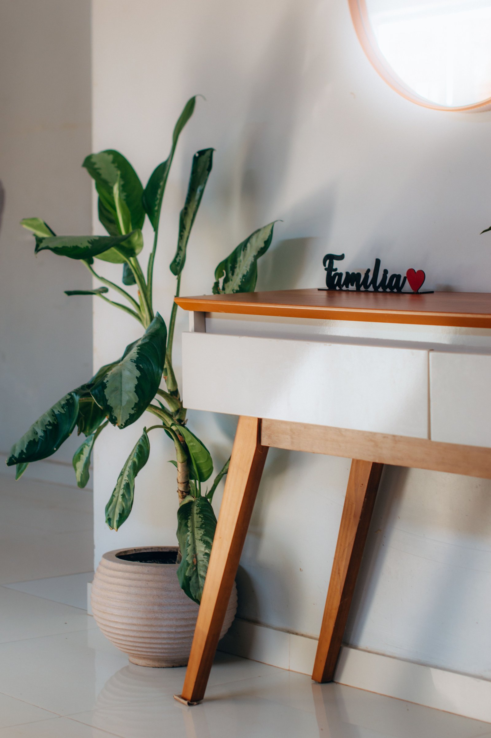 Plantas aromáticas para cultivar en casa