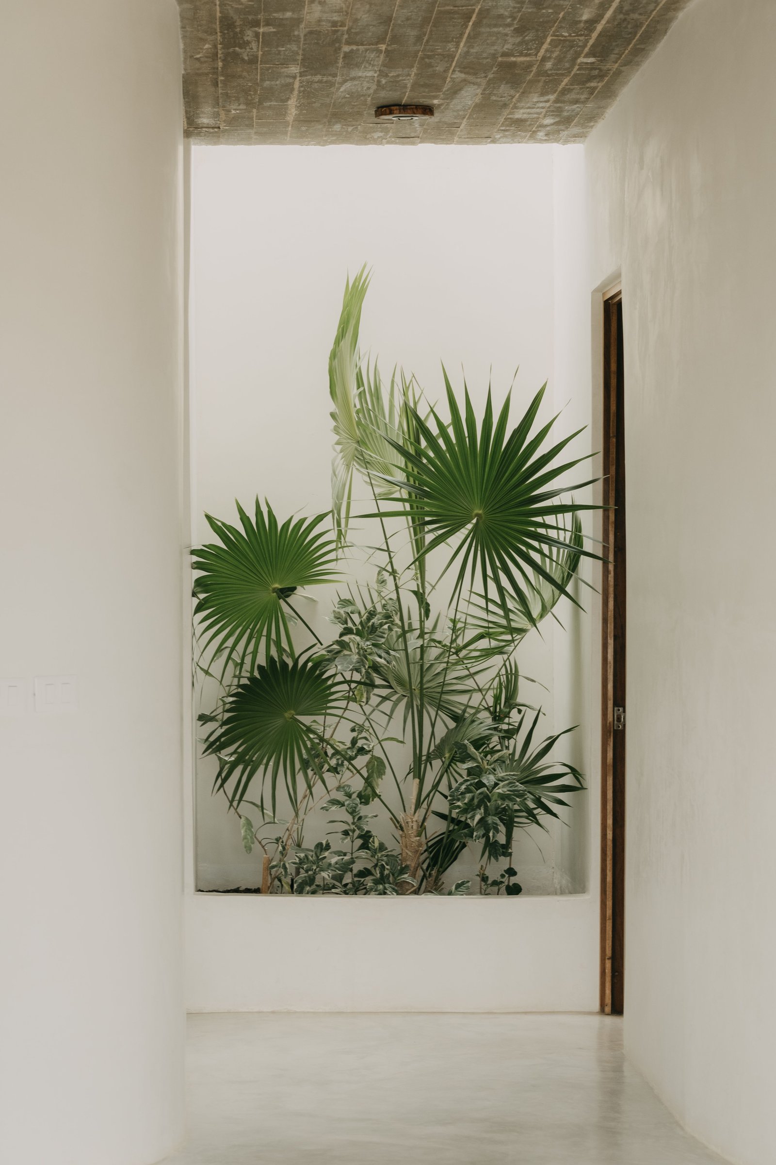 Qué hacer con las hojas secas del jardín