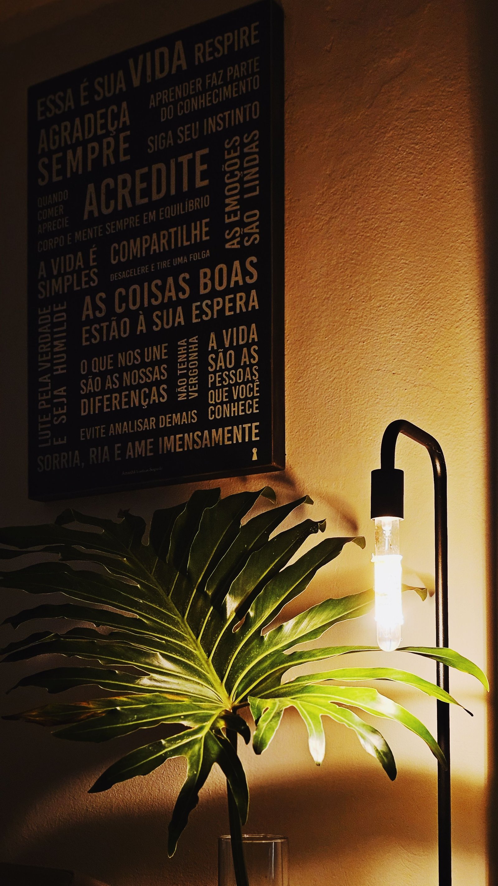 Imagen relacionada con el contenido del artÃ­culo